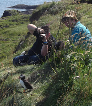 A puffin being observed by two women.