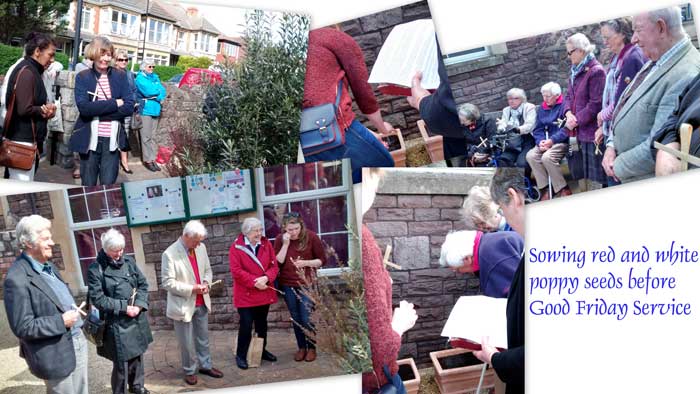 Collage of Good Friday planting of poppy seeds in the church garden.