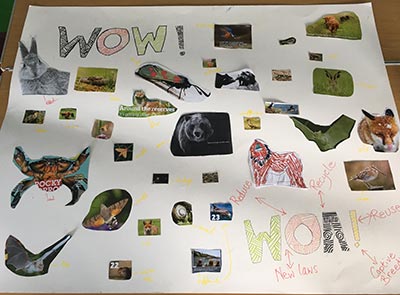 Picture of the poster created about the animals.